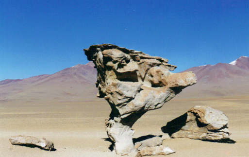 chile_salar-15-crop
