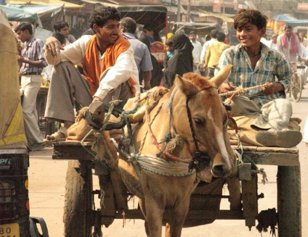 india-3-emma-latimer-small