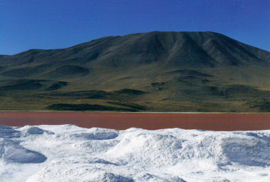 chile_salar-13-crop (1)