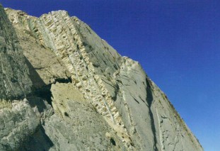 vertical-dinosaur-tracks-emma-latimer