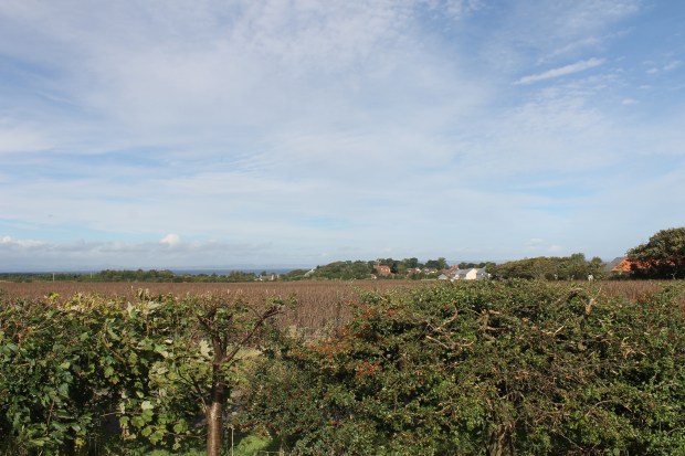TIDAL NORTH BERWICK 11